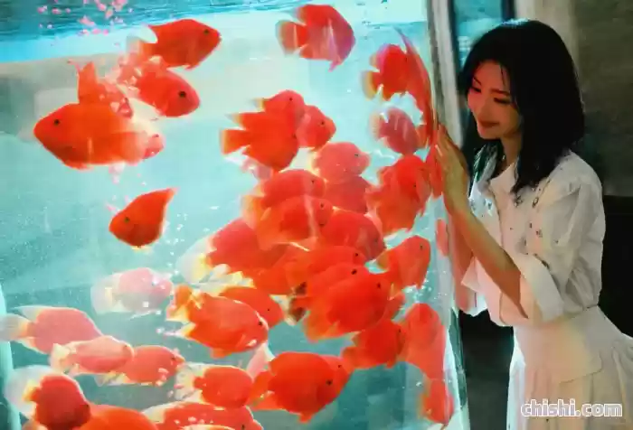 解锁毛晓彤的无拘无束时光 第6张